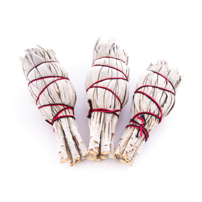 3 Mini-Salbei-Bündel, weiß-graue Blätter, rotes Bindeband, offene Blattenden